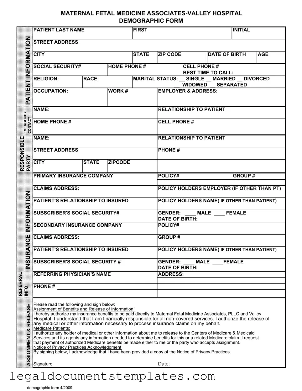 Free Patient Demographics PDF Form
