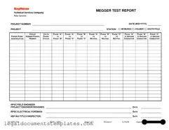 Free Megger Test PDF Form