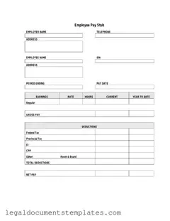 Free Pay Stub PDF Form