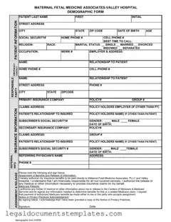 Free Patient Demographics PDF Form