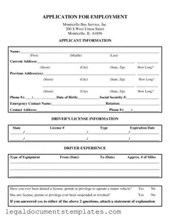 Free Truck Driver Job PDF Form